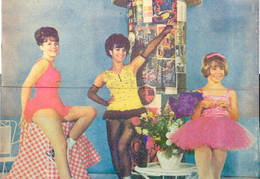 Valley Leisure mag 05-15-1966